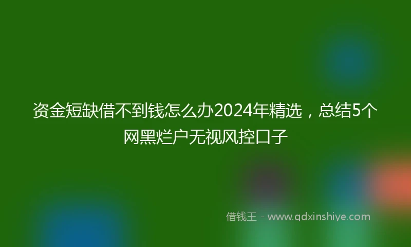 资金短缺借不到钱怎么办2024年精选，总结5个网黑烂户无视风控口子