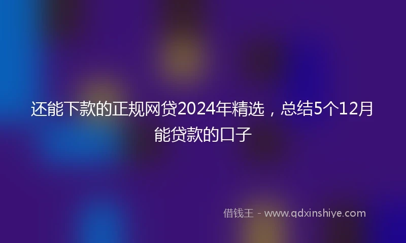 还能下款的正规网贷2024年精选，总结5个12月能贷款的口子