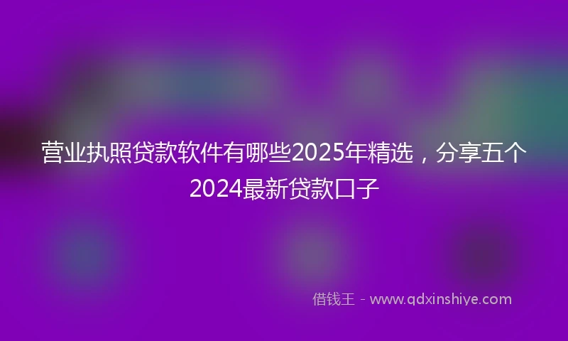 营业执照贷款软件有哪些2025年精选，分享五个2024最新贷款口子