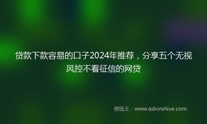 贷款下款容易的口子2024年推荐，分享五个无视风控不看征信的网贷