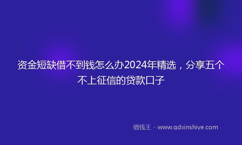 资金短缺借不到钱怎么办2024年精选，分享五个不上征信的贷款口子