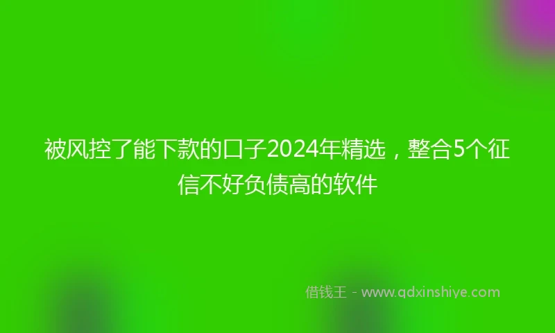 被风控了能下款的口子2024年精选，整合5个征信不好负债高的软件