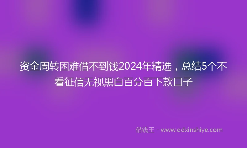 资金周转困难借不到钱2024年精选，总结5个不看征信无视黑白百分百下款口子