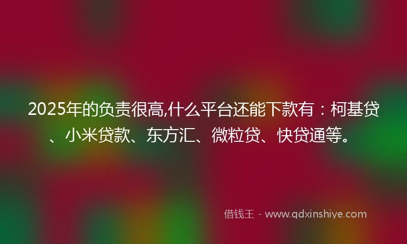 2025年的负责很高,什么平台还能下款有：柯基贷、小米贷款、东方汇、微粒贷、快贷通等。