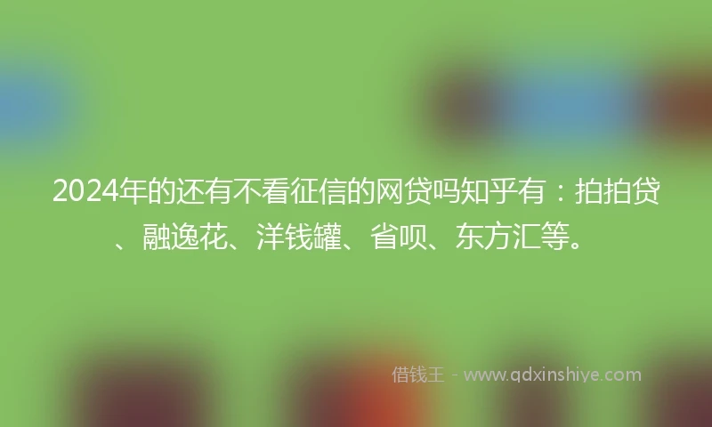 2024年的还有不看征信的网贷吗知乎有：拍拍贷、融逸花、洋钱罐、省呗、东方汇等。
