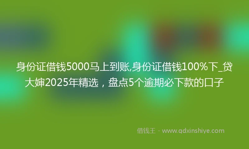 身份证借钱5000马上到账,身份证借钱100%下_贷大婶2025年精选，盘点5个逾期必下款的口子