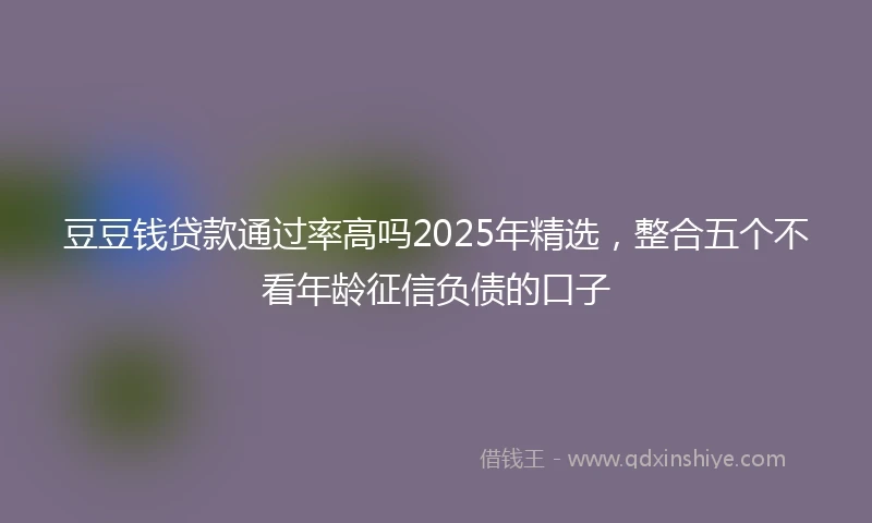 豆豆钱贷款通过率高吗2025年精选，整合五个不看年龄征信负债的口子