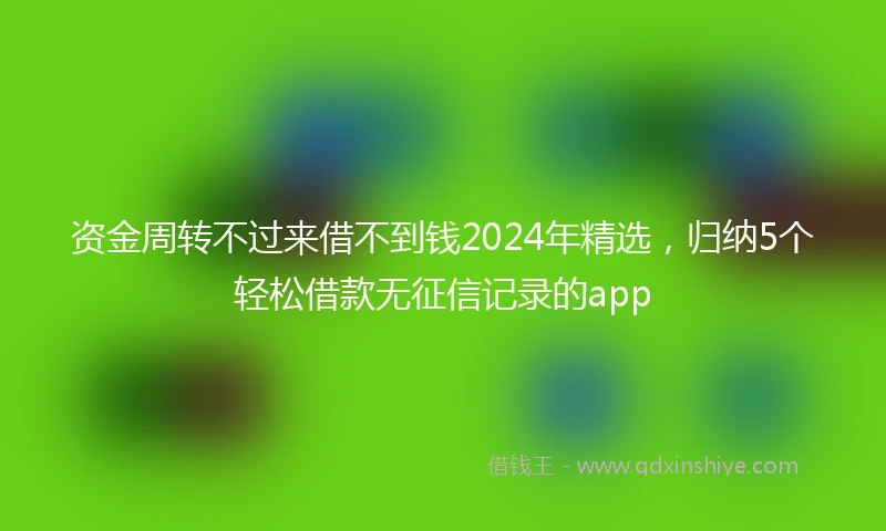 资金周转不过来借不到钱2024年精选，归纳5个轻松借款无征信记录的app