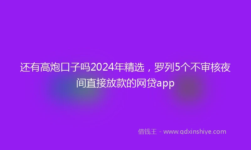 还有高炮口子吗2024年精选，罗列5个不审核夜间直接放款的网贷app