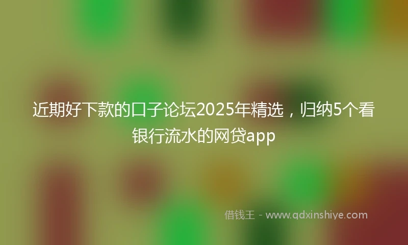 近期好下款的口子论坛2025年精选，归纳5个看银行流水的网贷app