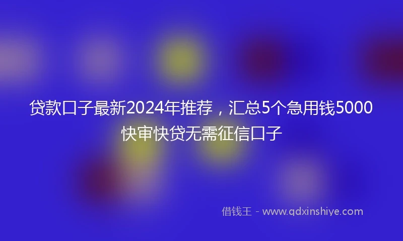 贷款口子最新2024年推荐,汇总5个急用钱5000快审快贷无需征信口子