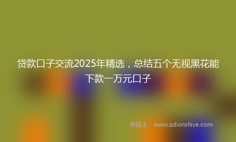 贷款口子交流2025年精选，总结五个无视黑花能下款一万元口子