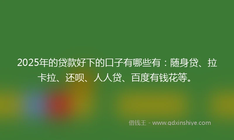 2025年的贷款好下的口子有哪些有：随身贷、拉卡拉、还呗、人人贷、百度有钱花等。