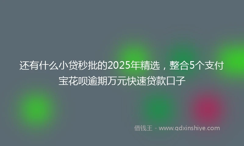 还有什么小贷秒批的2025年精选，整合5个支付宝花呗逾期万元快速贷款口子