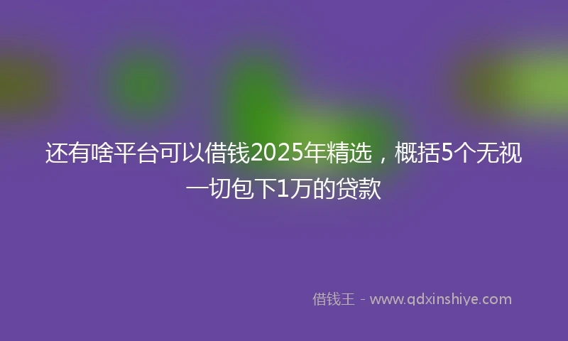 还有啥平台可以借钱2025年精选，概括5个无视一切包下1万的贷款