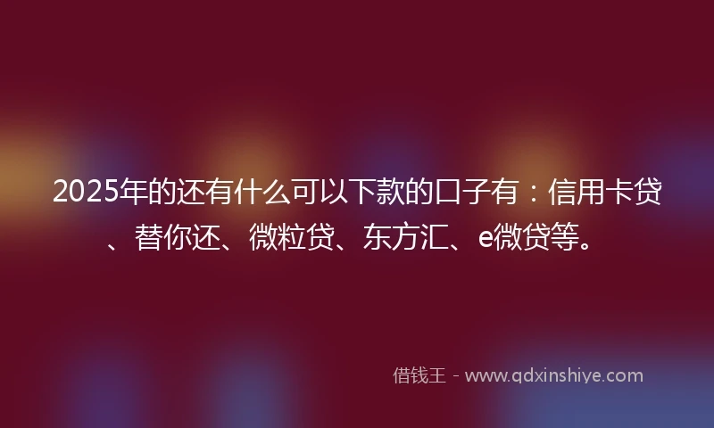 2025年的还有什么可以下款的口子有：信用卡贷、替你还、微粒贷、东方汇、e微贷等。