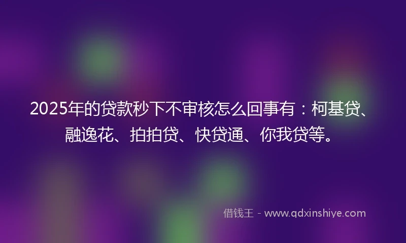 2025年的贷款秒下不审核怎么回事有：柯基贷、融逸花、拍拍贷、快贷通、你我贷等。