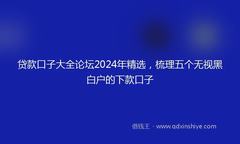 贷款口子大全论坛2024年精选，梳理五个无视黑白户的下款口子