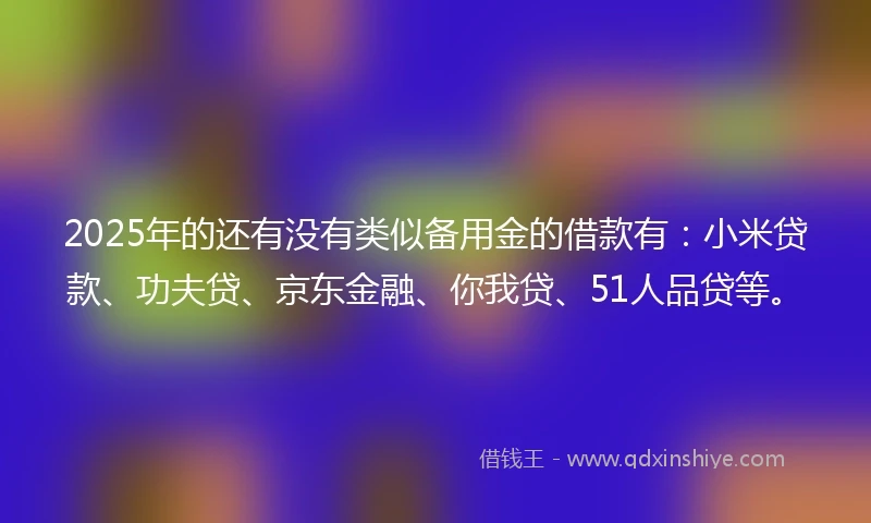 2025年的还有没有类似备用金的借款有：小米贷款、功夫贷、京东金融、你我贷、51人品贷等。