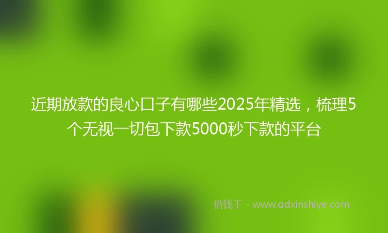 近期放款的良心口子有哪些2025年精选，梳理5个无视一切包下款5000秒下款的平台