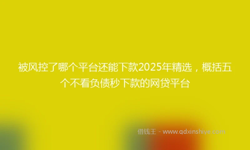 被风控了哪个平台还能下款2025年精选，概括五个不看负债秒下款的网贷平台