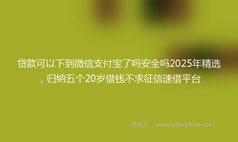 贷款可以下到微信支付宝了吗安全吗2025年精选，归纳五个20岁借钱不求征信速借平台