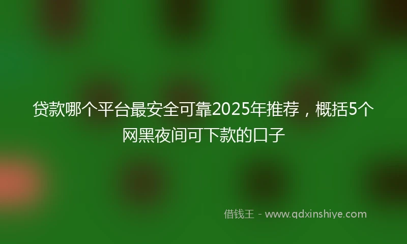 贷款哪个平台最安全可靠2025年推荐，概括5个网黑夜间可下款的口子