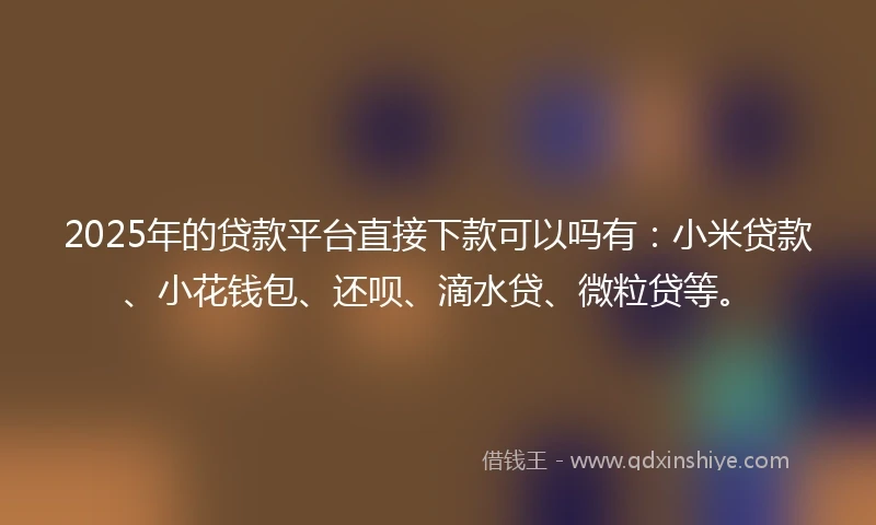 2025年的贷款平台直接下款可以吗有：小米贷款、小花钱包、还呗、滴水贷、微粒贷等。