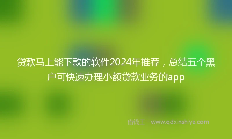 贷款马上能下款的软件2024年推荐，总结五个黑户可快速办理小额贷款业务的app