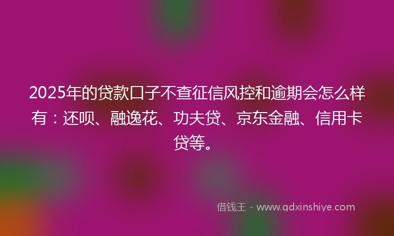 2025年的贷款口子不查征信风控和逾期会怎么样有：还呗、融逸花、功夫贷、京东金融、信用卡贷等。