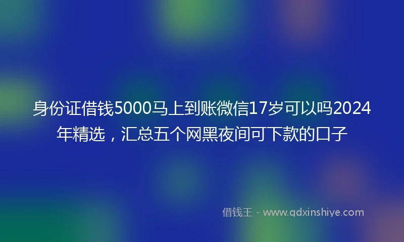 身份证借钱5000马上到账微信17岁可以吗2024年精选，汇总五个网黑夜间可下款的口子