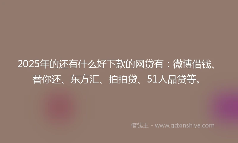 2025年的还有什么好下款的网贷有：微博借钱、替你还、东方汇、拍拍贷、51人品贷等。