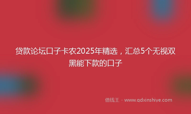 贷款论坛口子卡农2025年精选，汇总5个无视双黑能下款的口子