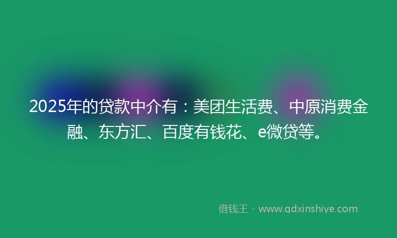 2025年的贷款中介有：美团生活费、中原消费金融、东方汇、百度有钱花、e微贷等。