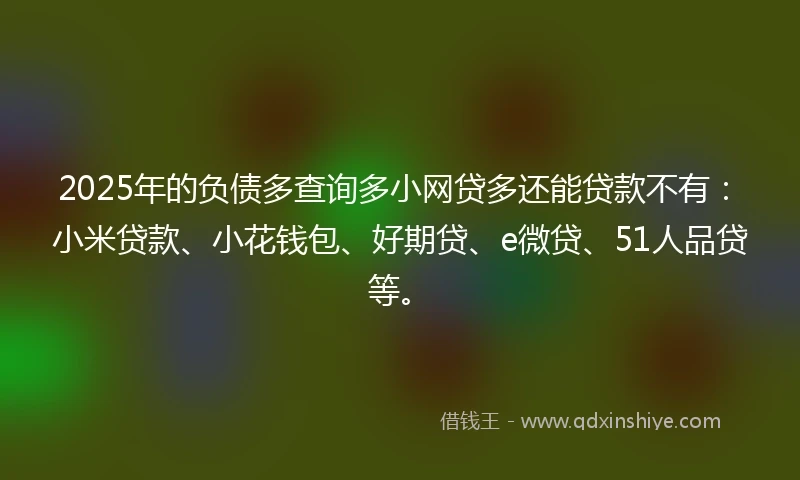 2025年的负债多查询多小网贷多还能贷款不有：小米贷款、小花钱包、好期贷、e微贷、51人品贷等。