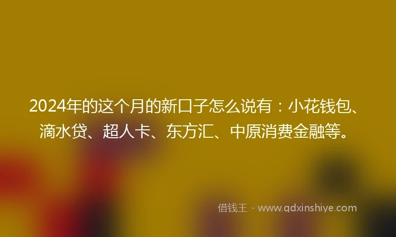 2024年的这个月的新口子怎么说有：小花钱包、滴水贷、超人卡、东方汇、中原消费金融等。
