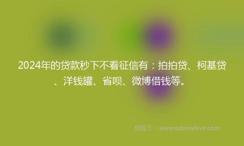 2024年的贷款秒下不看征信有：拍拍贷、柯基贷、洋钱罐、省呗、微博借钱等。