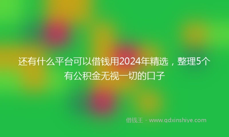 还有什么平台可以借钱用2024年精选，整理5个有公积金无视一切的口子