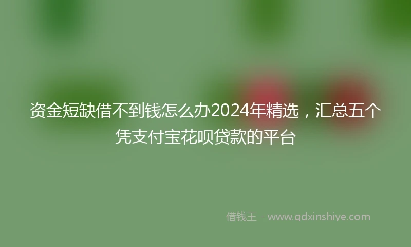 资金短缺借不到钱怎么办2024年精选，汇总五个凭支付宝花呗贷款的平台