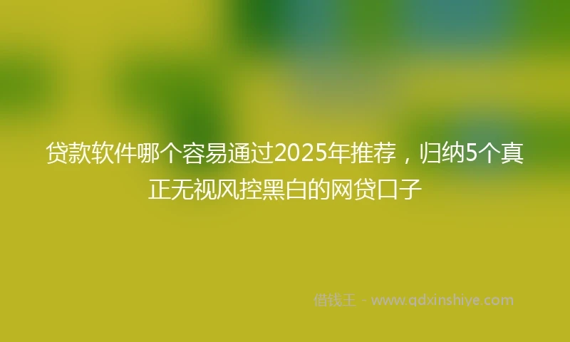 贷款软件哪个容易通过2025年推荐，归纳5个真正无视风控黑白的网贷口子