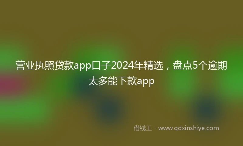 营业执照贷款app口子2024年精选，盘点5个逾期太多能下款app