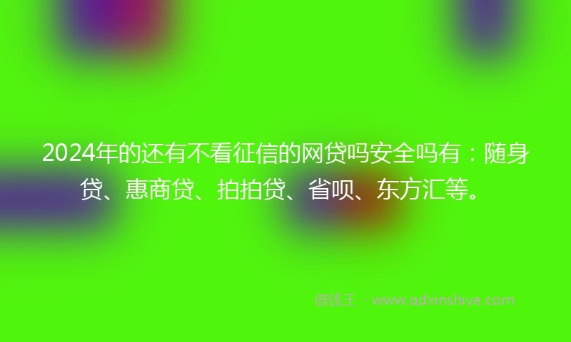 2024年的还有不看征信的网贷吗安全吗有：随身贷、惠商贷、拍拍贷、省呗、东方汇等。