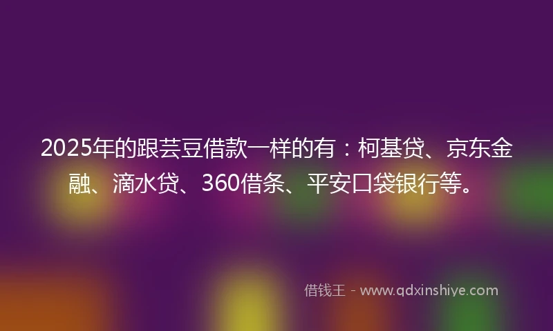 2025年的跟芸豆借款一样的有：柯基贷、京东金融、滴水贷、360借条、平安口袋银行等。