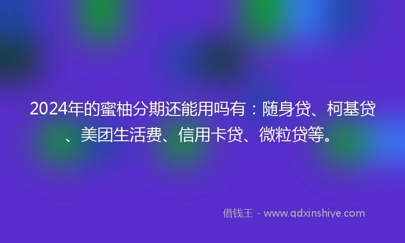 2024年的蜜柚分期还能用吗有：随身贷、柯基贷、美团生活费、信用卡贷、微粒贷等。