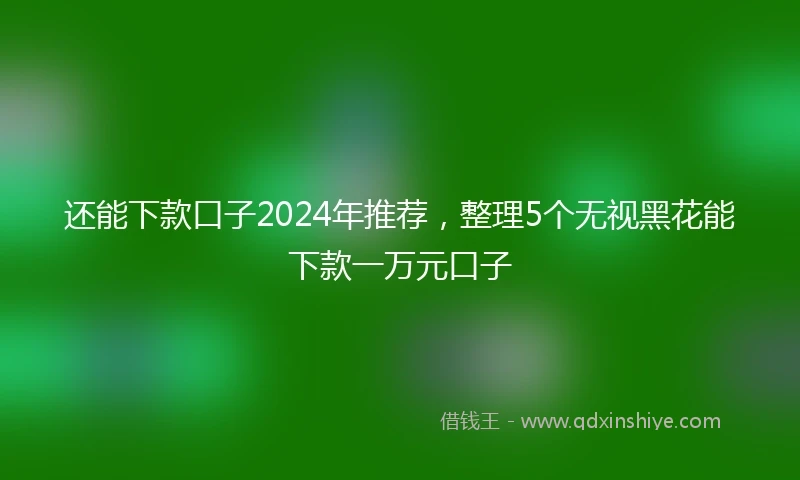 还能下款口子2024年推荐，整理5个无视黑花能下款一万元口子