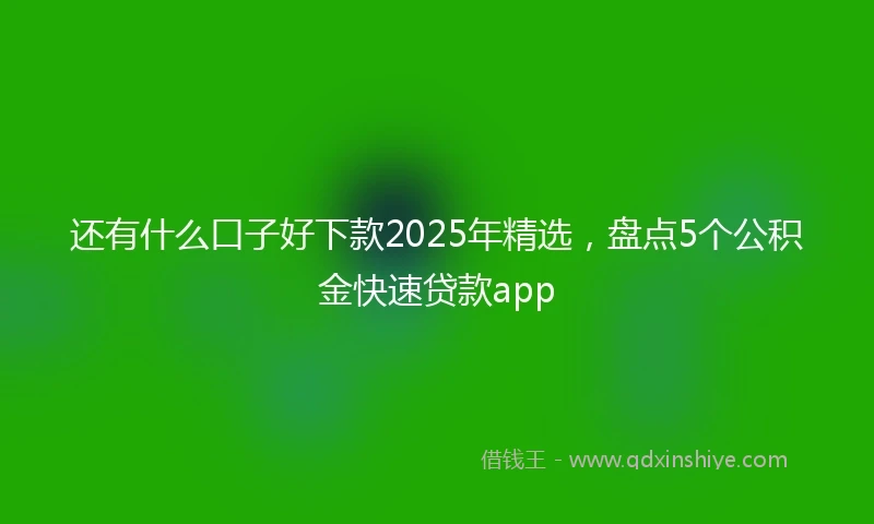 还有什么口子好下款2025年精选，盘点5个公积金快速贷款app