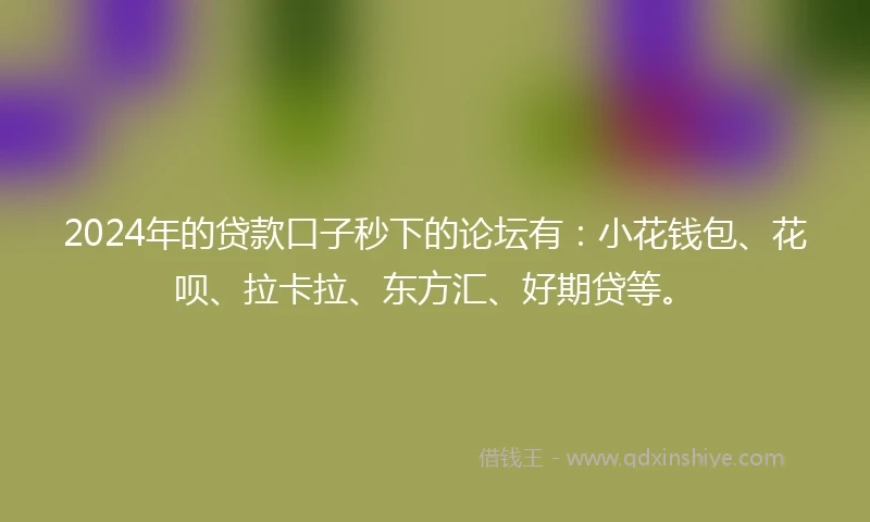 2024年的贷款口子秒下的论坛有：小花钱包、花呗、拉卡拉、东方汇、好期贷等。