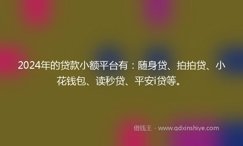 2024年的贷款小额平台有：随身贷、拍拍贷、小花钱包、读秒贷、平安i贷等。