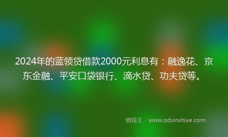 2024年的蓝领贷借款2000元利息有：融逸花、京东金融、平安口袋银行、滴水贷、功夫贷等。