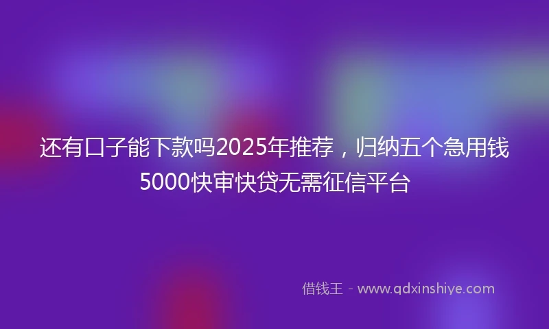 还有口子能下款吗2025年推荐，归纳五个急用钱5000快审快贷无需征信平台